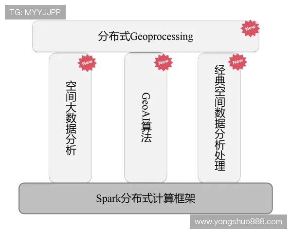 西安排球队技术表现的深入数据分析与战术探讨